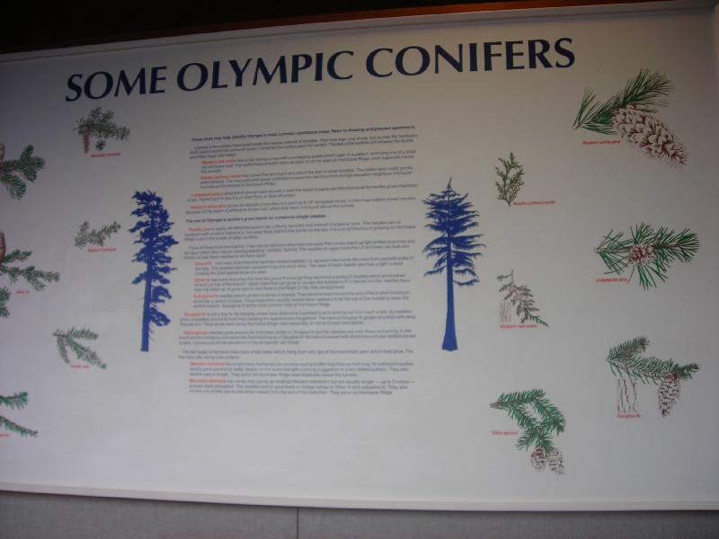 DSCN3074.JPG